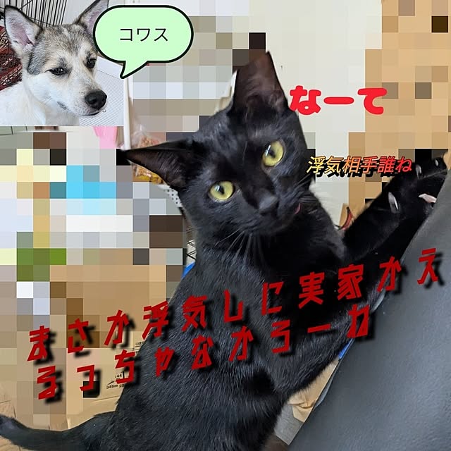 asaさんの部屋