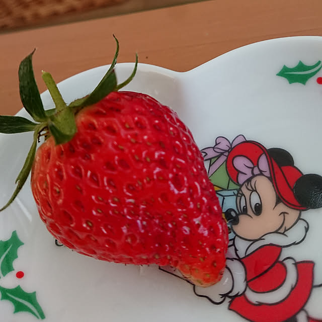 noriさんの実例写真