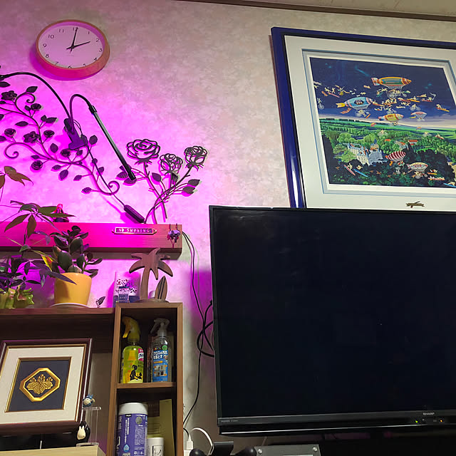 icchanさんの実例写真
