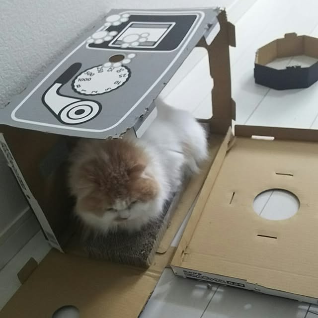 nonkoさんの実例写真