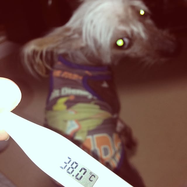 Emiさんの実例写真