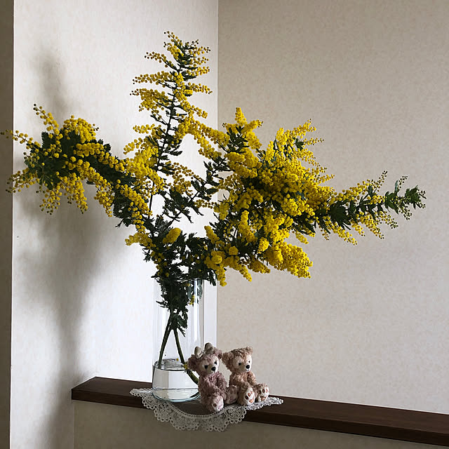 sakuraさんの実例写真