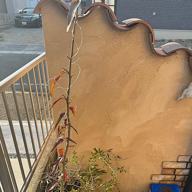 usakoさんの部屋