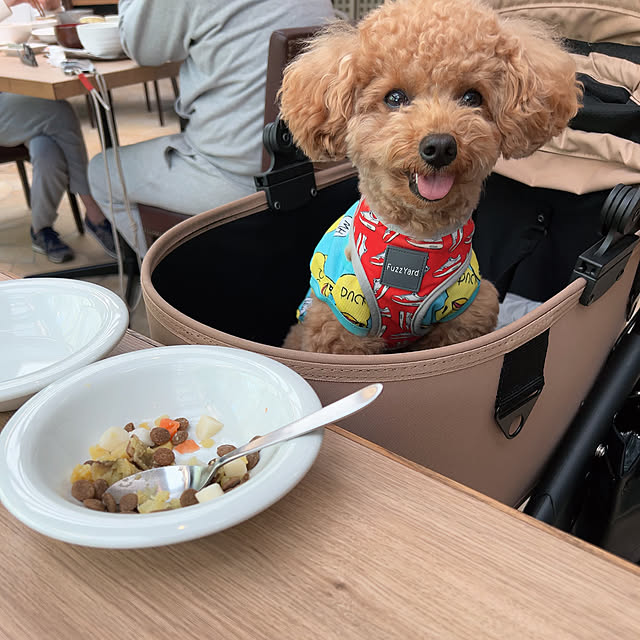 バス/トイレ/飼い主と同じで食べすぎララさん/連休中食べすぎララさん/トイプードルと暮らす/犬バカですみません...などのインテリア実例 - 2024-05-07 20:07:04