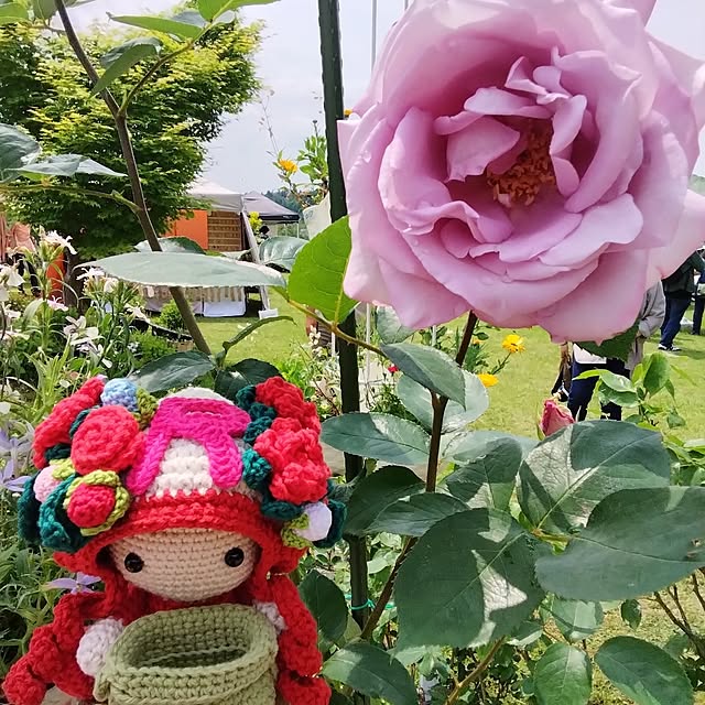fujiyayuさんの実例写真