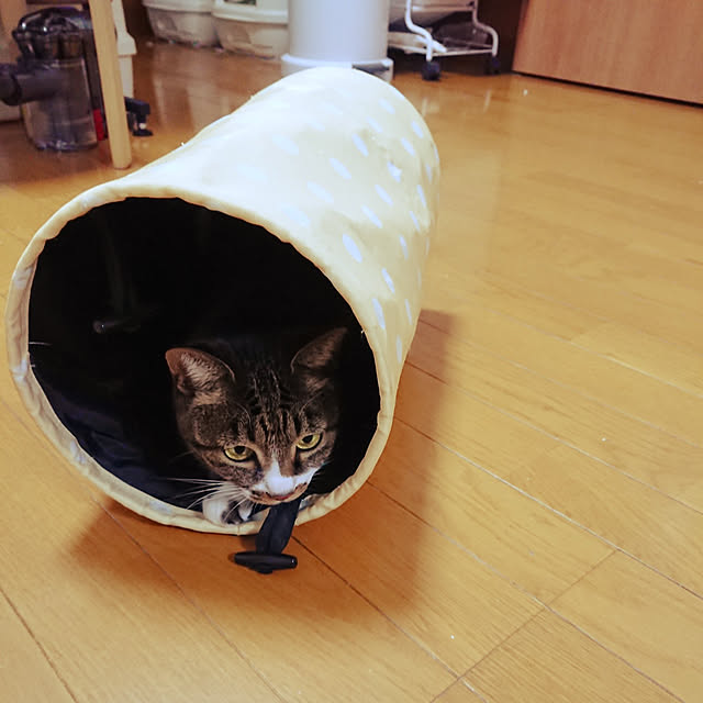 nachiさんの実例写真
