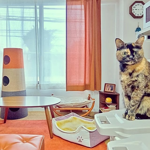 hirukumaさんの部屋
