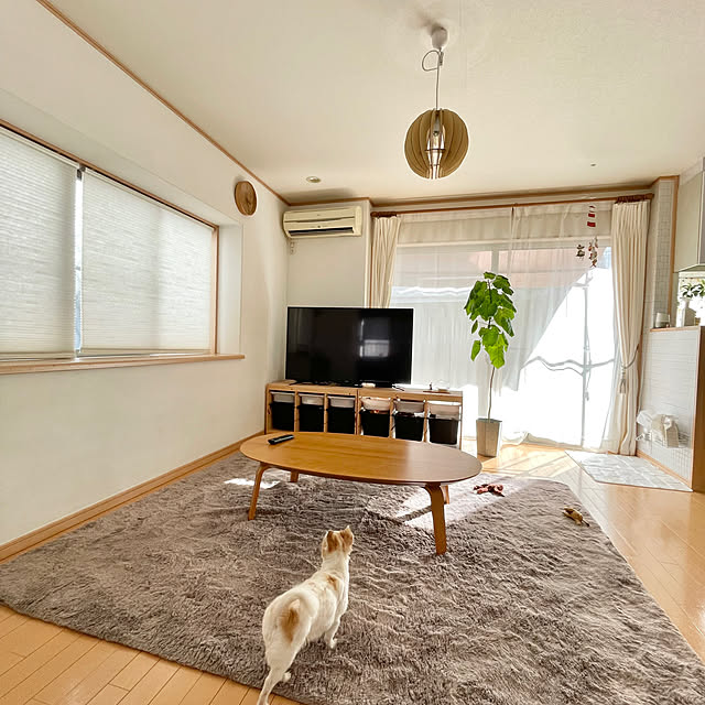 haritakaさんの実例写真