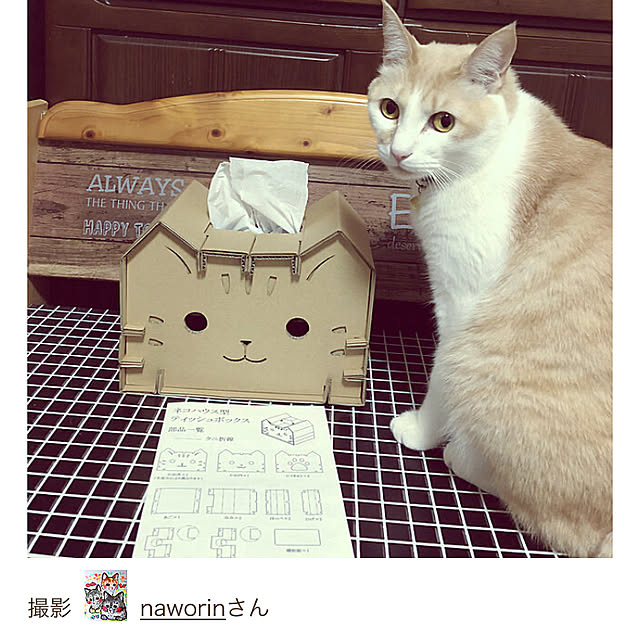 naworinさんの実例写真