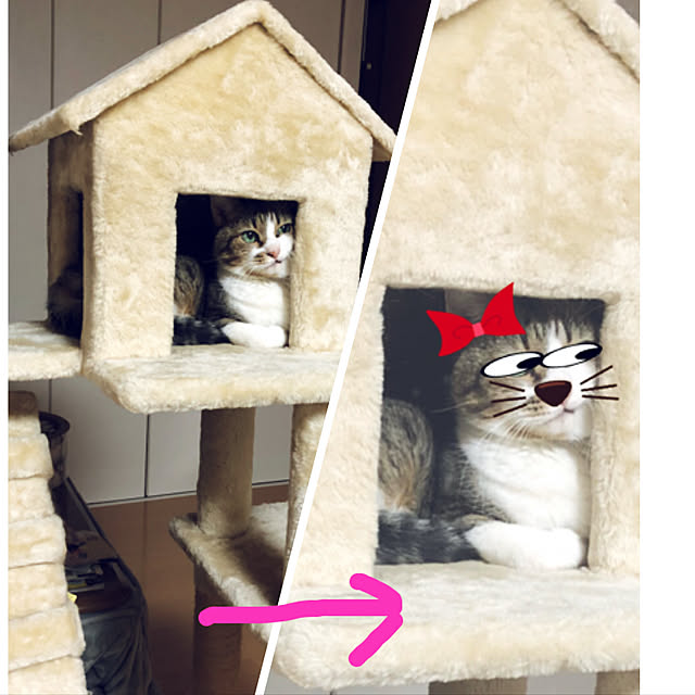 nnmmさんの実例写真
