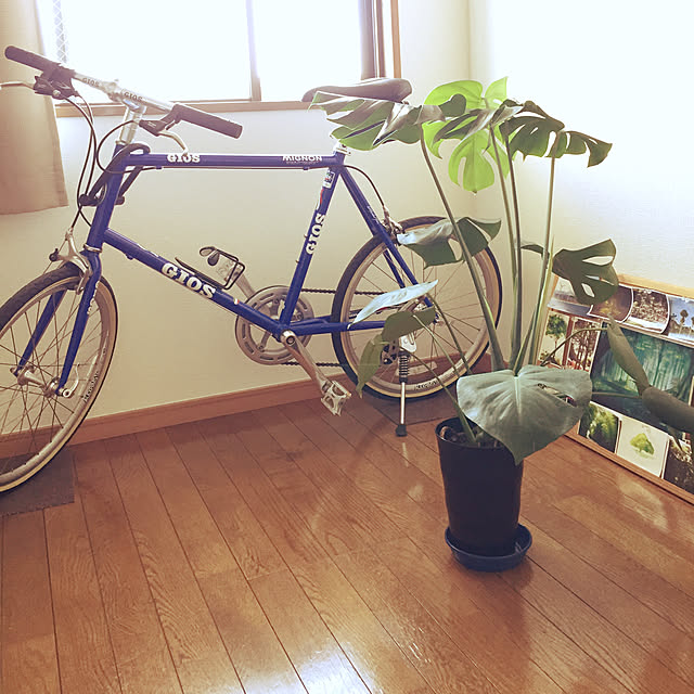 Hidさんの実例写真