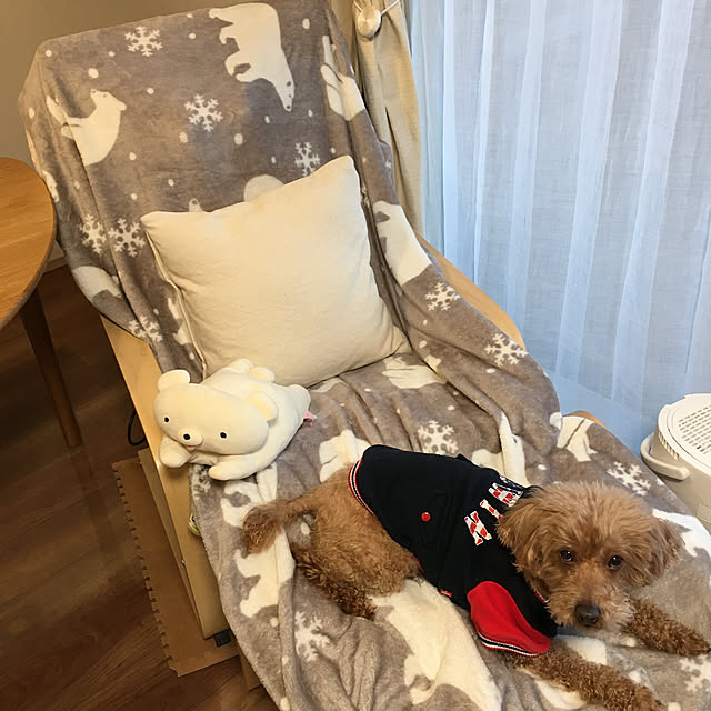 ponさんの実例写真