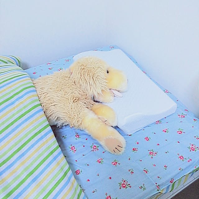 nyantarouさんの実例写真