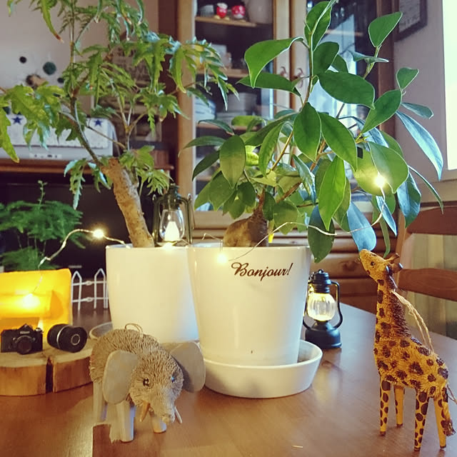 mikanさんの実例写真