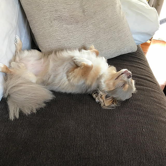 thanks_jさんの実例写真