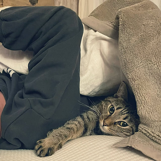 Mさんの実例写真