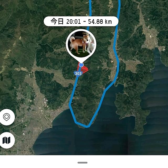 実例写真