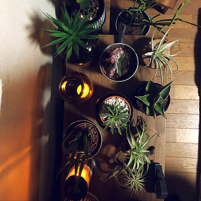 rintarotantan7さんの実例写真