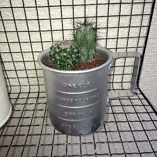 ryumamaさんの実例写真