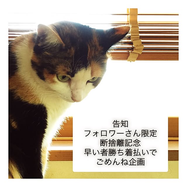 mayugonさんの実例写真