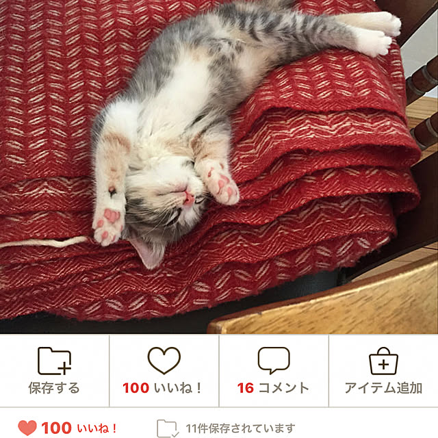sakurasakuさんの実例写真