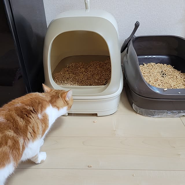 KimmieMouseさんの実例写真