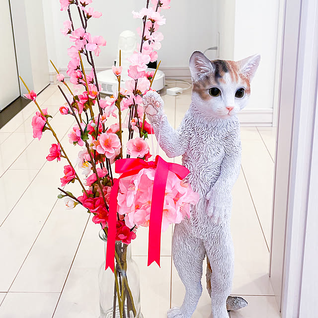 farekananiさんの実例写真