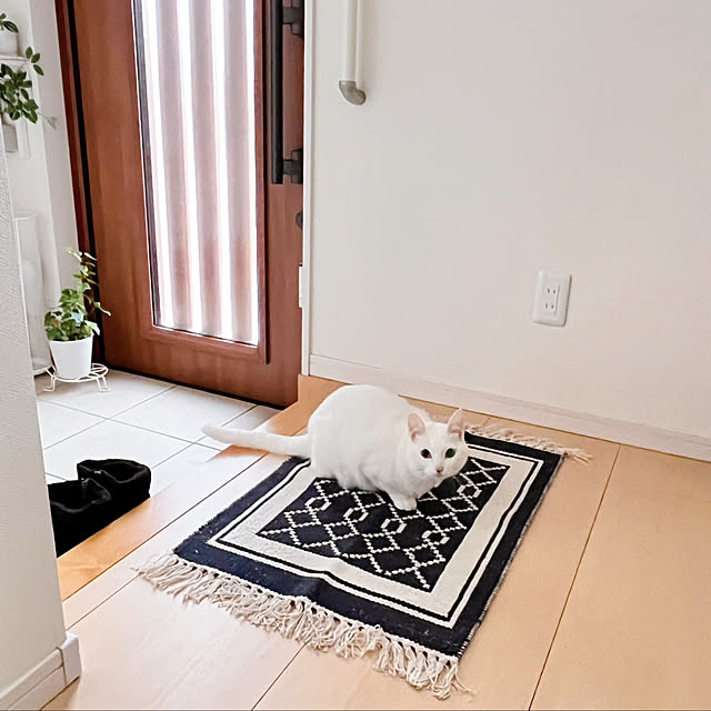Miyu_さんの部屋