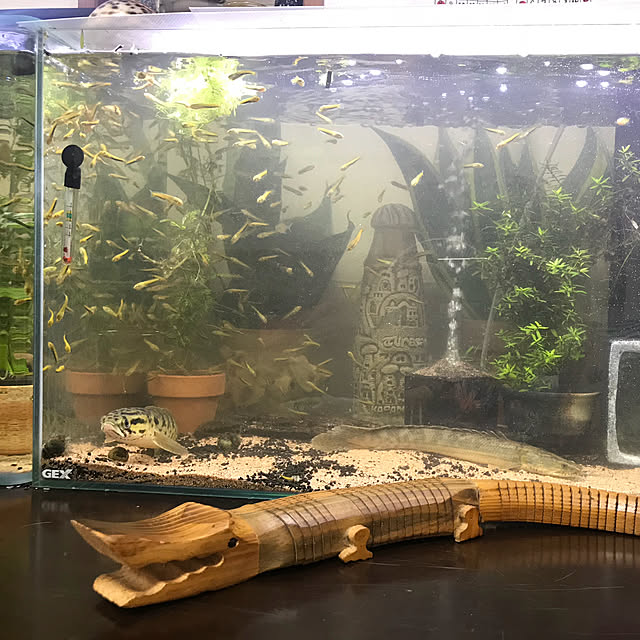 実例写真