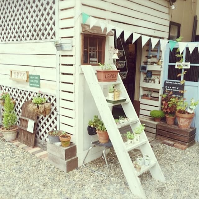 vol.493写真