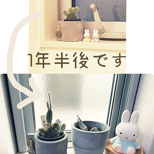 y.pさんの実例写真