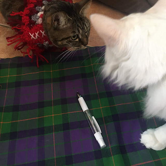 shigimiさんの実例写真