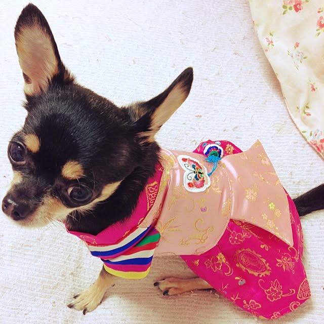 lunaさんの実例写真