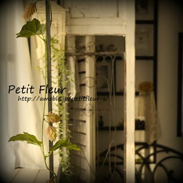 Petitさんの実例写真