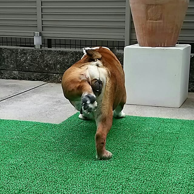 AandPさんの実例写真
