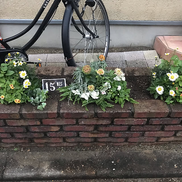 Miyokoさんの実例写真