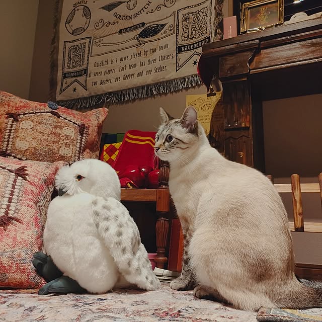 Atelier_tamakiさんの実例写真