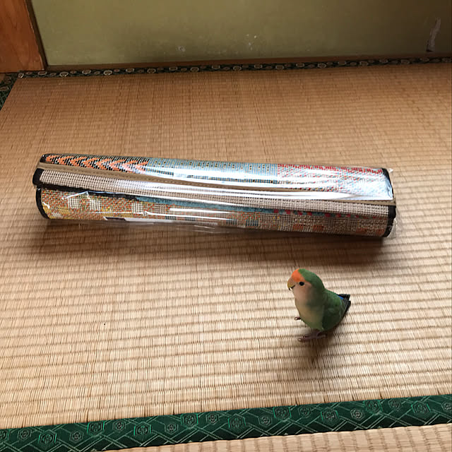 aoinokimiさんの実例写真