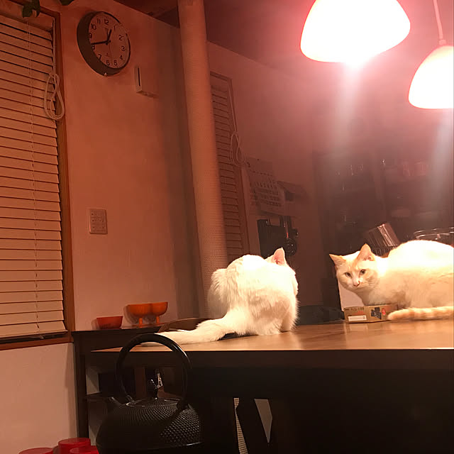 sakurasakuさんの実例写真