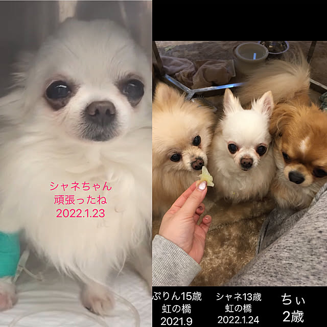 haruさんの実例写真