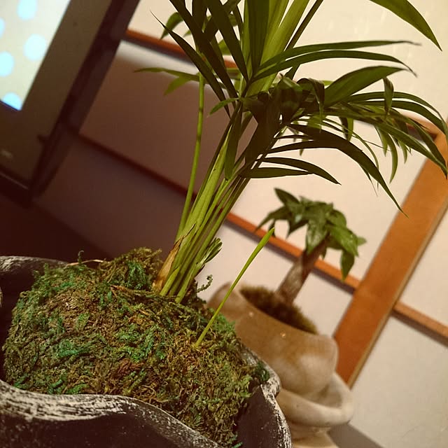 PEKOさんの実例写真