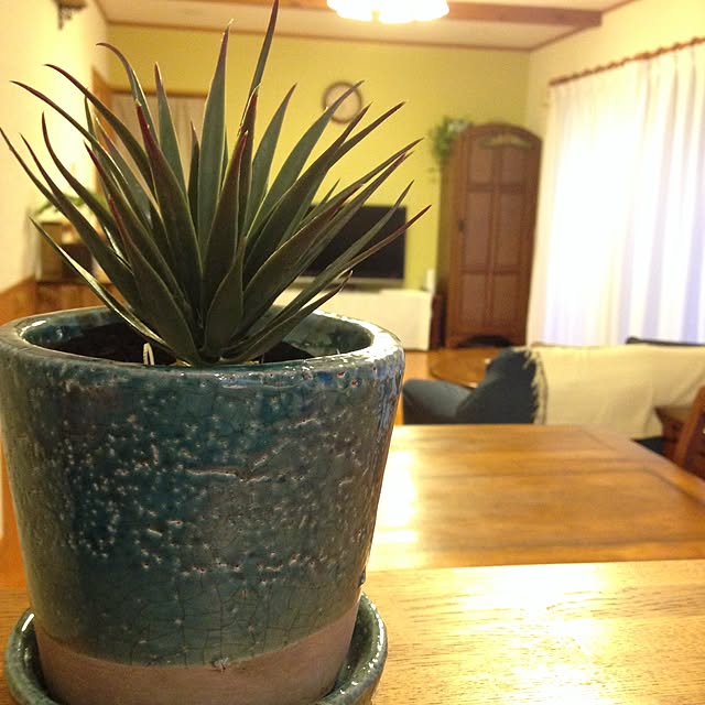 sakuさんの実例写真