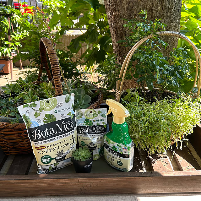 botanさんの部屋