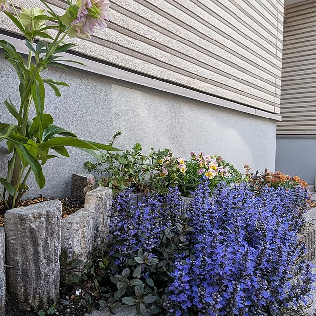 kumijiさんの実例写真