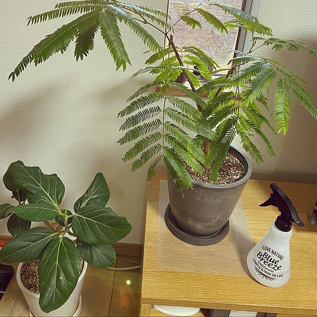 mocoさんの実例写真