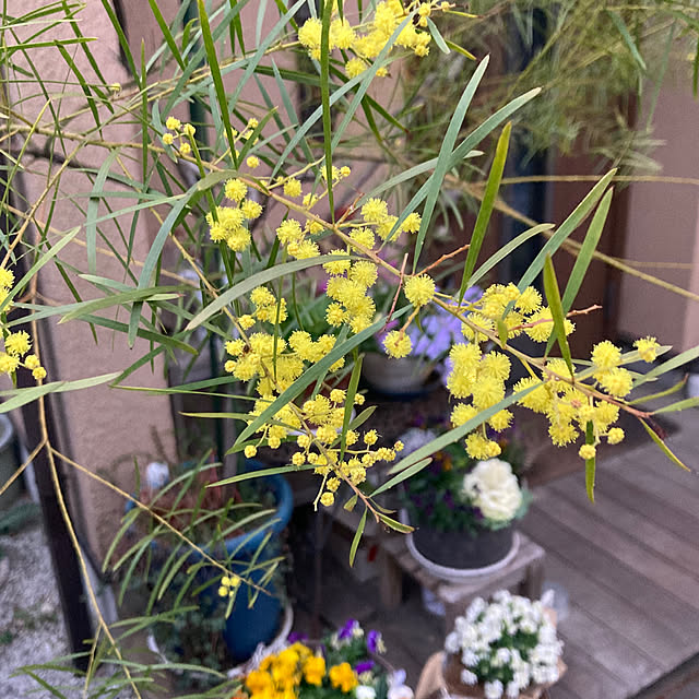 amiromikaさんの部屋