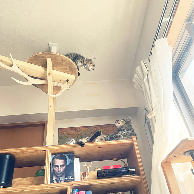 Mさんの部屋