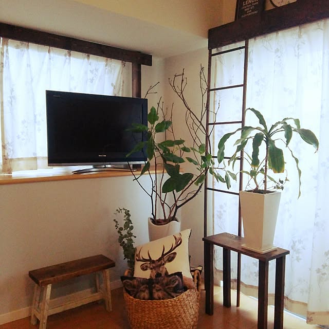 rinchanpapamamaさんの実例写真