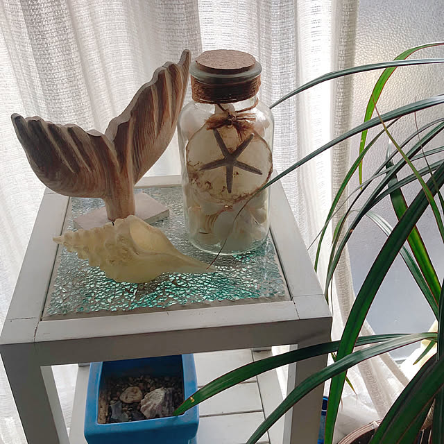 Malamaさんの実例写真