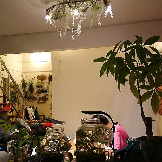 urchinさんの実例写真
